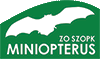 Logo Miniopterus